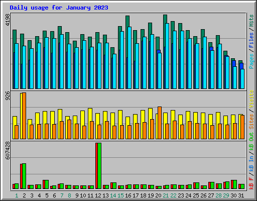 Daily usage for January 2023