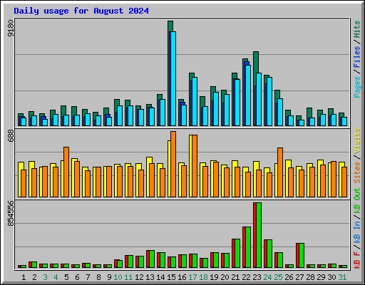 Daily usage for August 2024