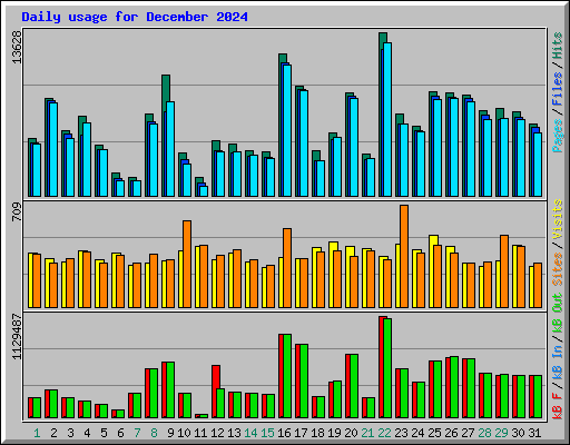 Daily usage for December 2024