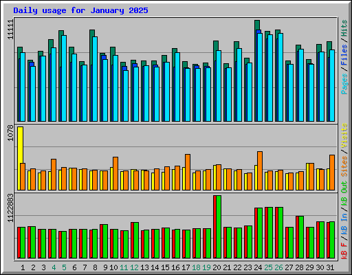 Daily usage for January 2025