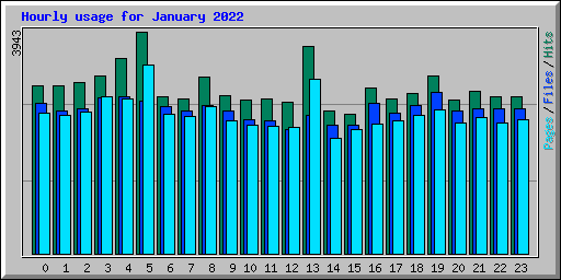 Hourly usage for January 2022