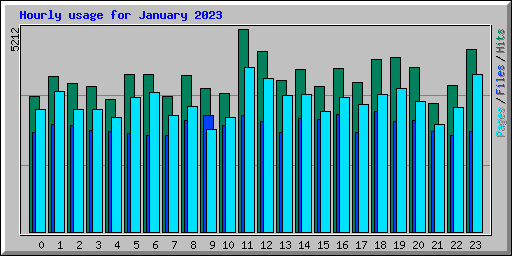 Hourly usage for January 2023