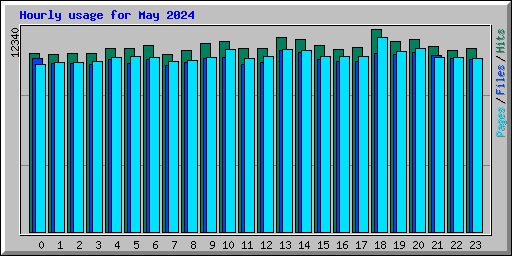 Hourly usage for May 2024