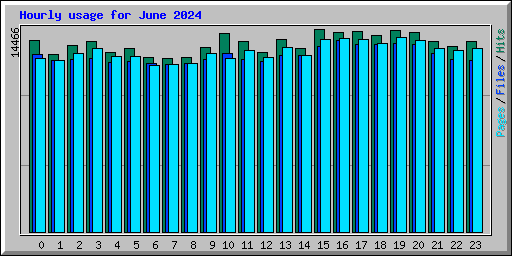 Hourly usage for June 2024