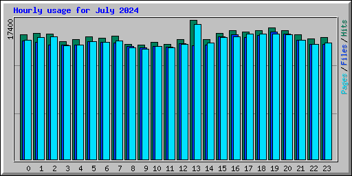 Hourly usage for July 2024