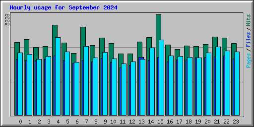 Hourly usage for September 2024