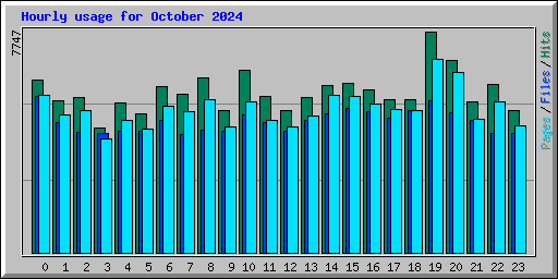 Hourly usage for October 2024