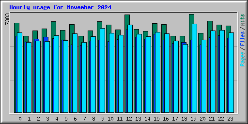 Hourly usage for November 2024