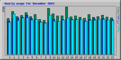 Hourly usage for December 2024