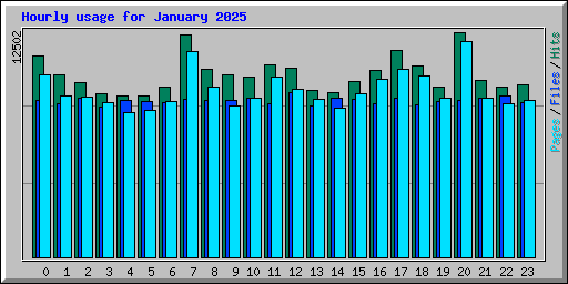 Hourly usage for January 2025