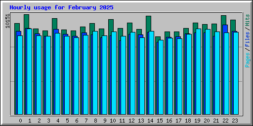 Hourly usage for February 2025