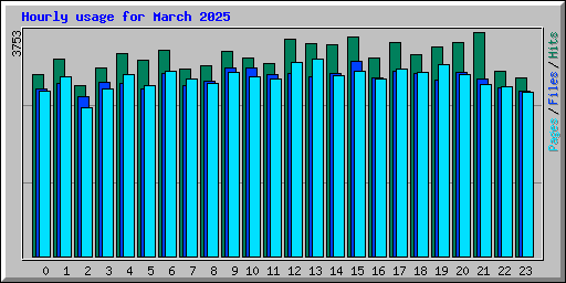 Hourly usage for March 2025